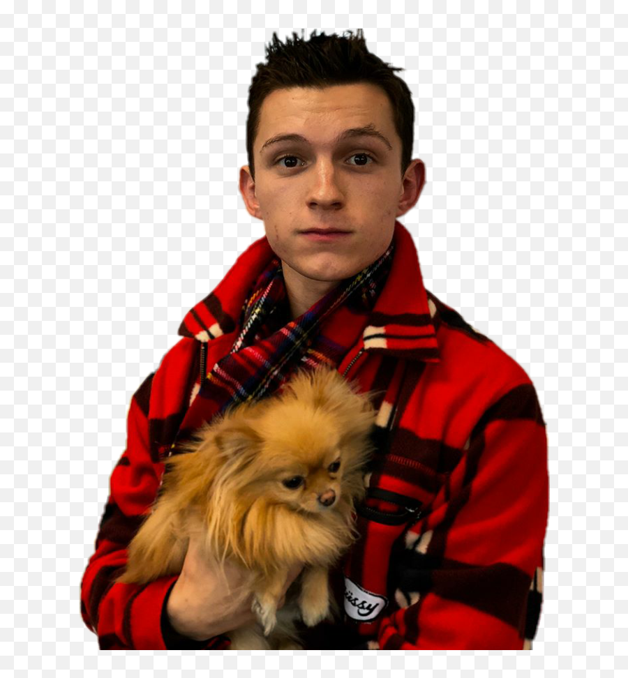Tom Holland And Dog Png Download - Tom Holland Cute Pic With Dog,Tom Holland Png