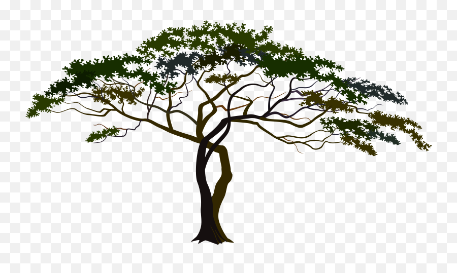 Tree Png Download With No Background - African Tree Clipart Png,Trees Background Png