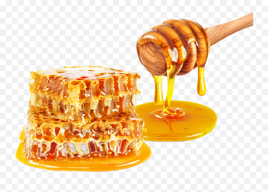 Clip Butter Vector Melted - Dripping Honey U0026 Honey Combs Honey Png,Butter Png