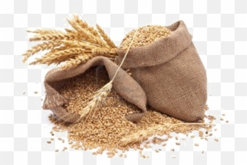 Grain Png Photos - Whole Grains