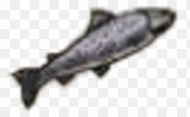 Trout Kingdom Come Deliverance Wiki Fandom - Fish Products Png,Trout Png