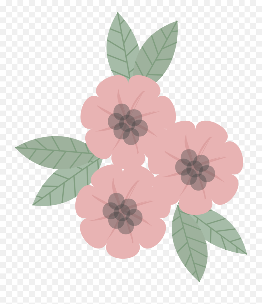 Free Pink Flower Png With Transparent Background - Rose,Pink Transparent Background