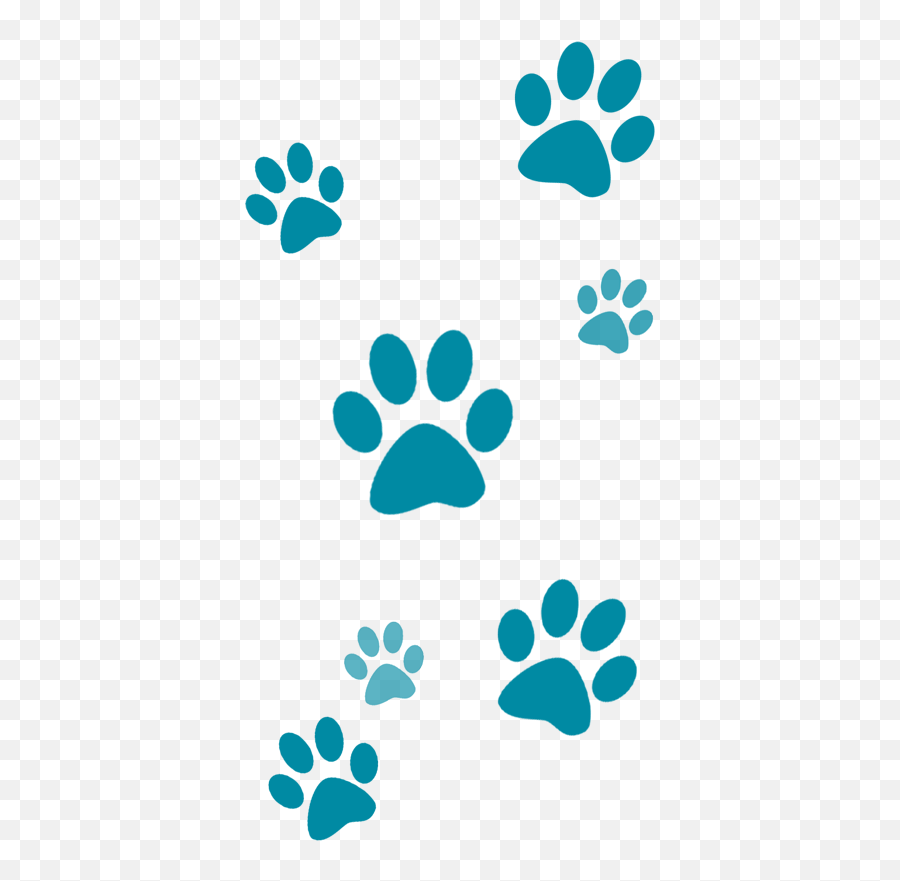 Paws Hallie Hill Animal Sanctuary - Dog In Heaven Ornament Png,Paws Png