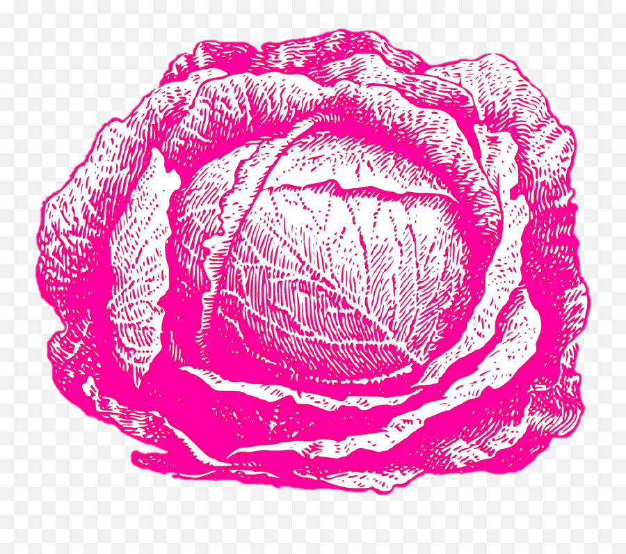 Cabbage Patch Gifs - Get The Best Gif On Giphy Cabbage Sketching Png,Cabbage Patch Logo