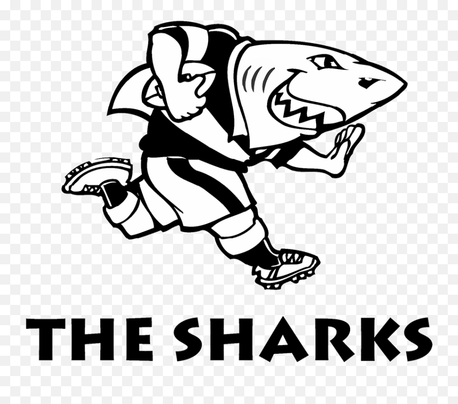 Sharks Logo And Symbol Meaning - Sharks Rugby Team Logo Png,Shark Logo Png