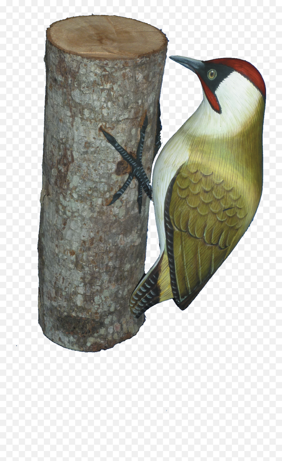 Handpainted Carved Green Woodpecker - British Birds Hand Carved Png,Woodpecker Png