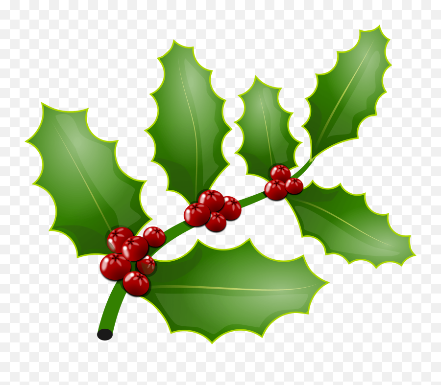 Holly Branch With Berries Clipart Free Download Transparent - Holly Branch Clip Art Png,Holly Leaves Png