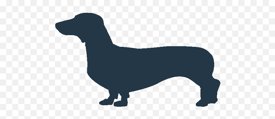 Small Dog Png - Weiner Dog Icon Png 1106933 Vippng 20 X 20 Dog Png,Dog Icon Png