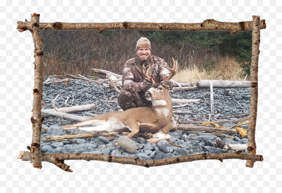 Sitka Deer Hunting - Alaska Game Hunting Hunt Afognak Picture Frame Png,Deer Hunting Logo