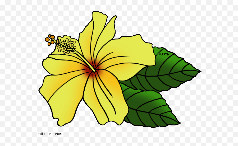 Hawaiian Flower Clip Art Free - Wikiclipart Gumamela Clipart Png,Hawaiian Flower Icon