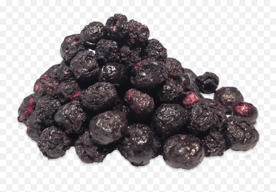 Bulk Blueberries 14 Diced Sensible Foods - Fresh Png,Blueberry Text Icon