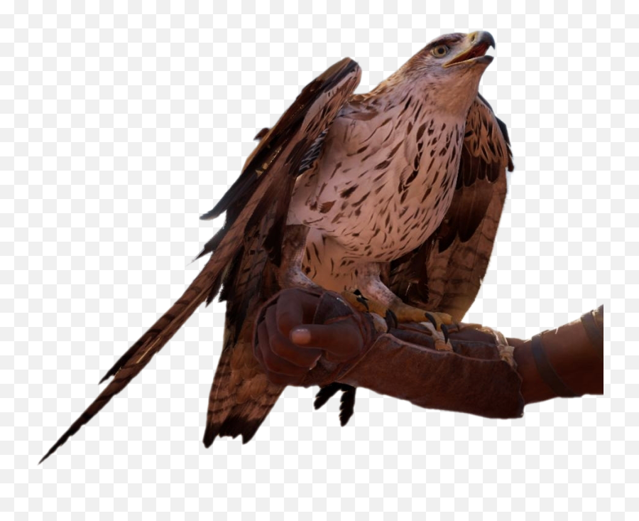 Senu - Senu Creed Png,Assassin's Creed Origins Hammer Icon