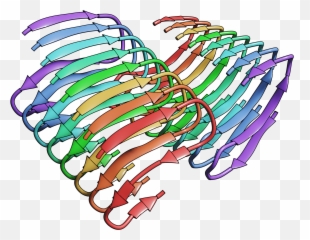 Research U2014 Brown Lab - Vertical png