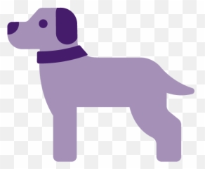 Longmont Dentist - Dental Loft Dog Supply png