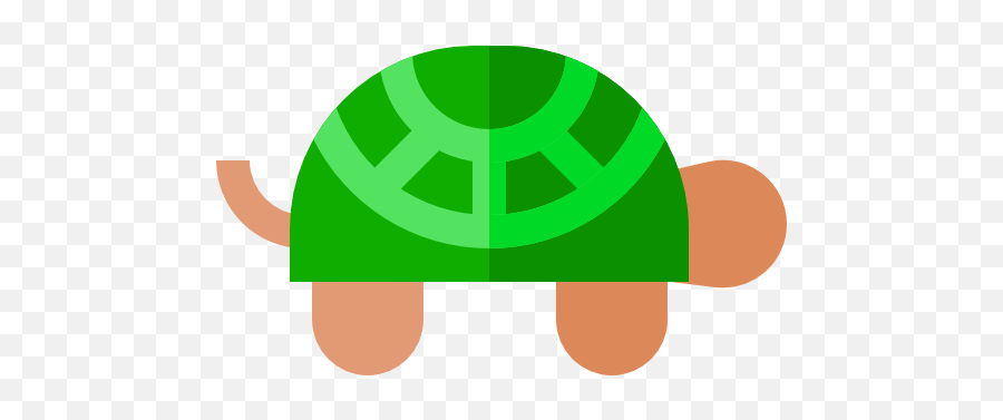 Free Icon Turtle - Box Turtles Png,Turtle Icon Png
