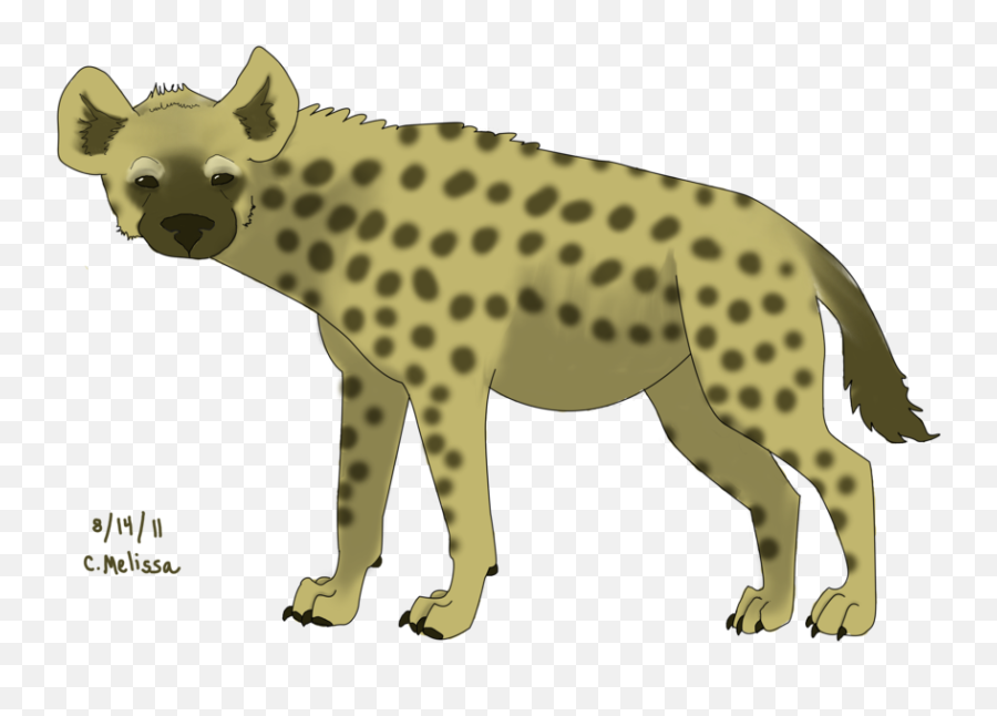 Download Hyena Png Images - Hyenas,Hyena Png