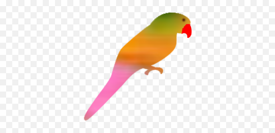 Holi - Parakeet Png,Parrot Png