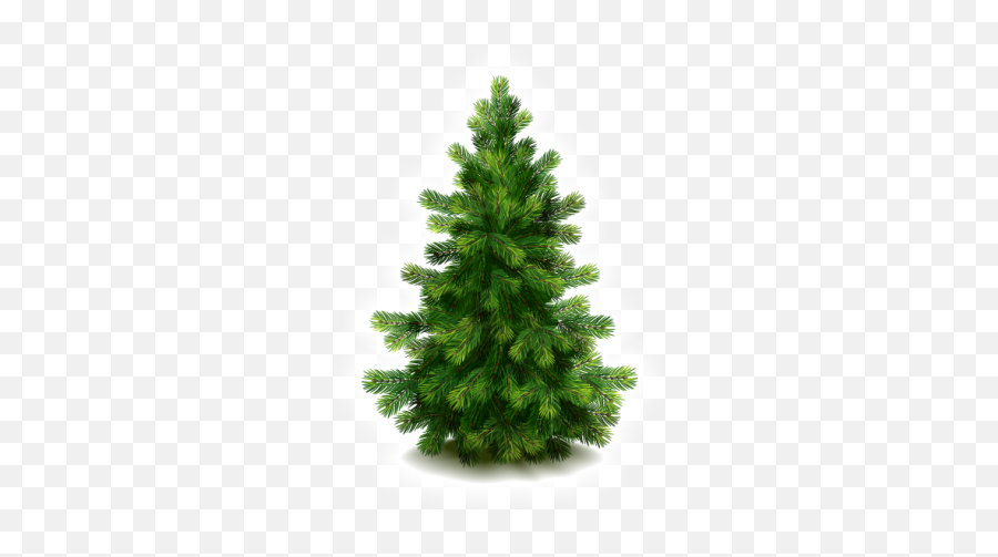 43 Fir - Hd Christmas Tree Png,Red Tree Png