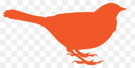 Coming Soon - Old World Flycatchers png