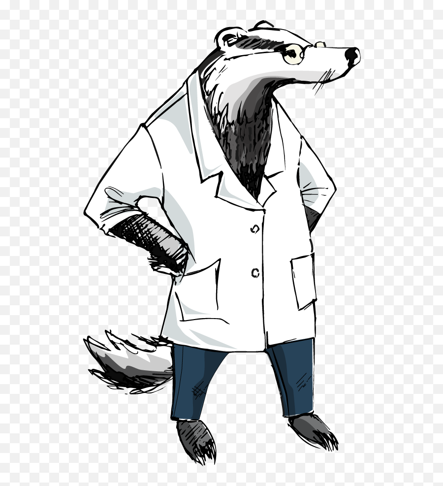 Index Of - Badger Drawing Png,Badger Png