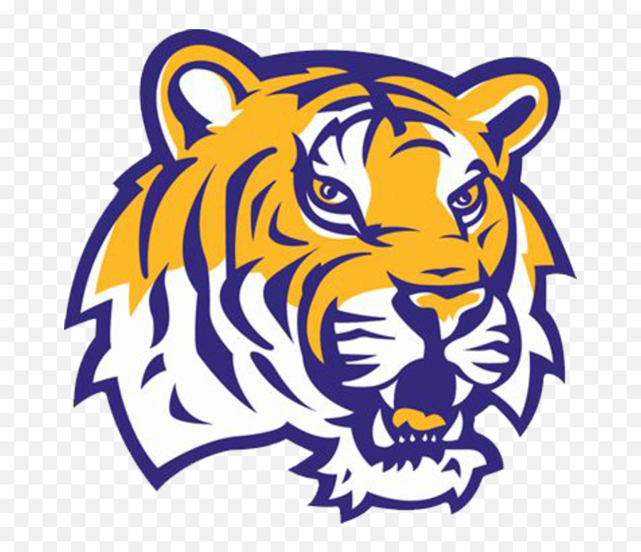 Download Hd Picture Freeuse Library The Holgate Tigers - Lsu Tigers Png,Tiger Head Png