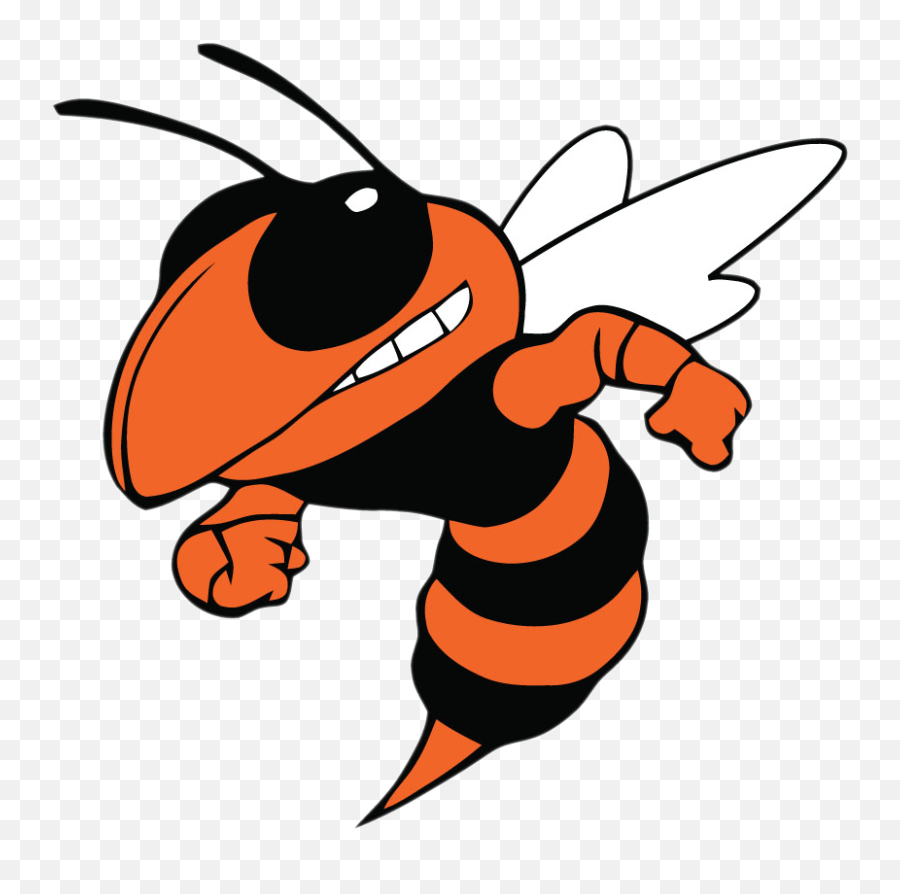 Team Home Beech Grove Hornets Sports - Booker T Washington Hornet Png,Hornets Logo Png