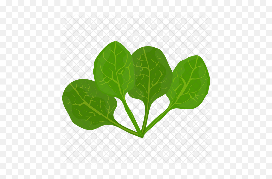 Spinach Leaves Icon - Illustration Png,Spinach Png