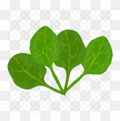 Spinach Leaves Icon - Illustration Png,Spinach Png