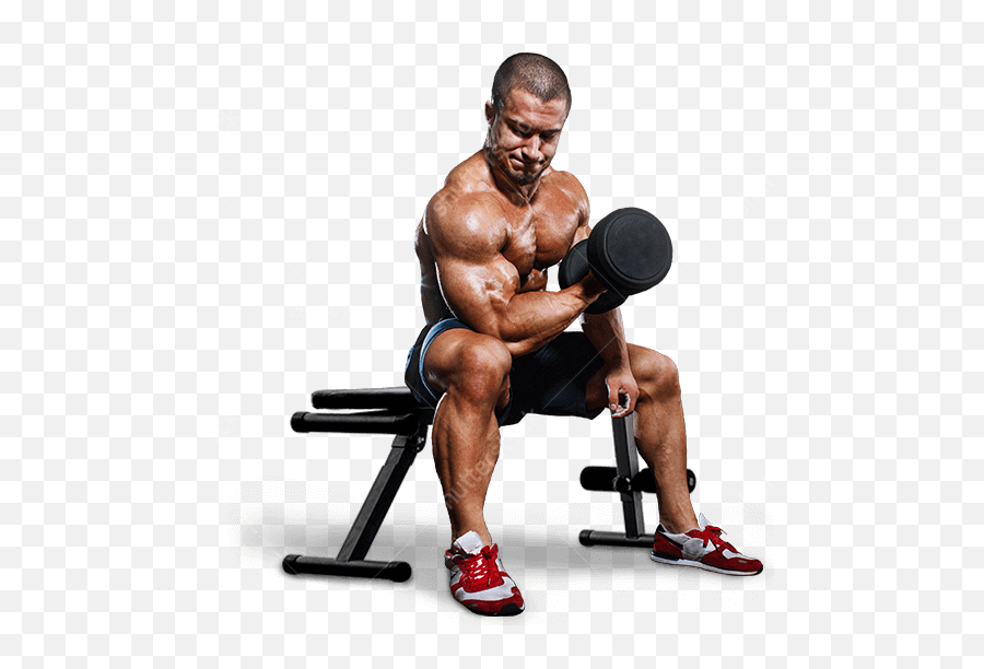 Man - Dumbbellwatermarkpng U2013 Terranora Fitness Man With Dumbbell Png,Dumbbells Png