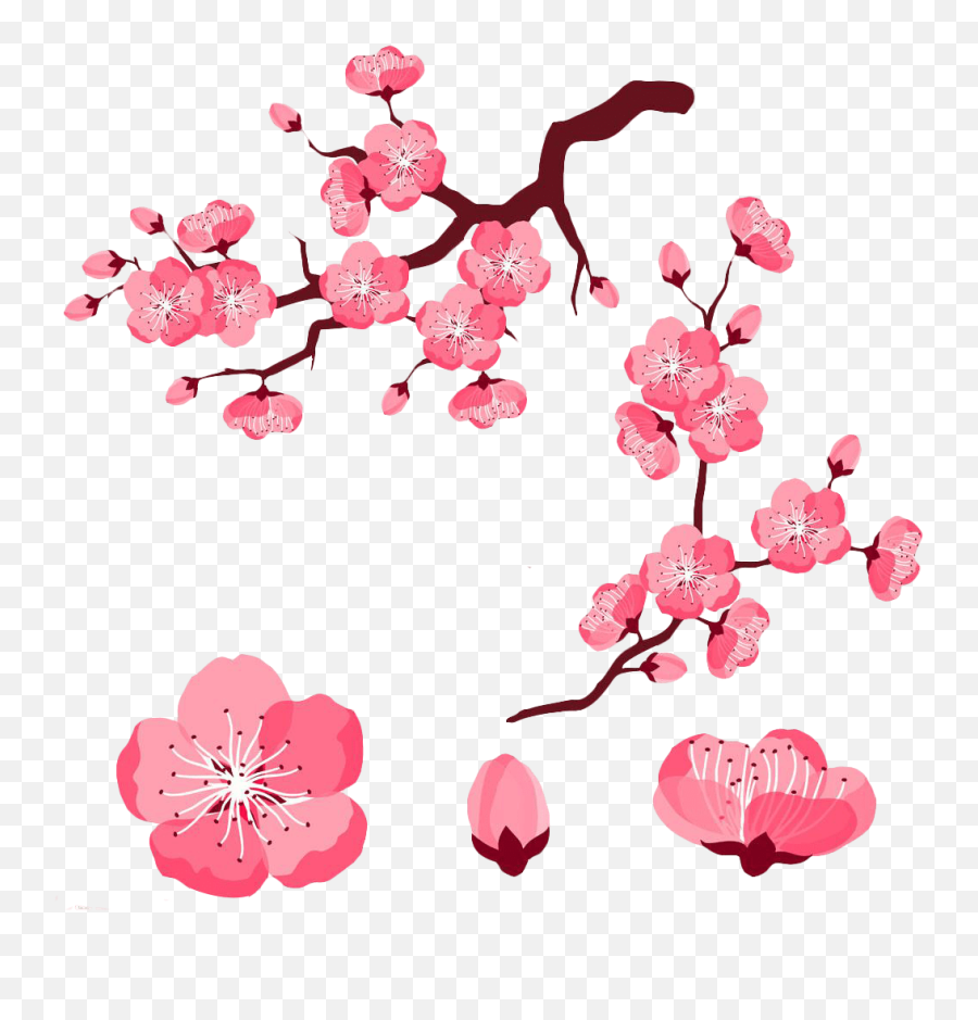 Cherry Blossom Flower Cartoon Png Image - Sakura Flower Cartoon Cherry Blossom Flowers,Cherry Blossom Petals Png