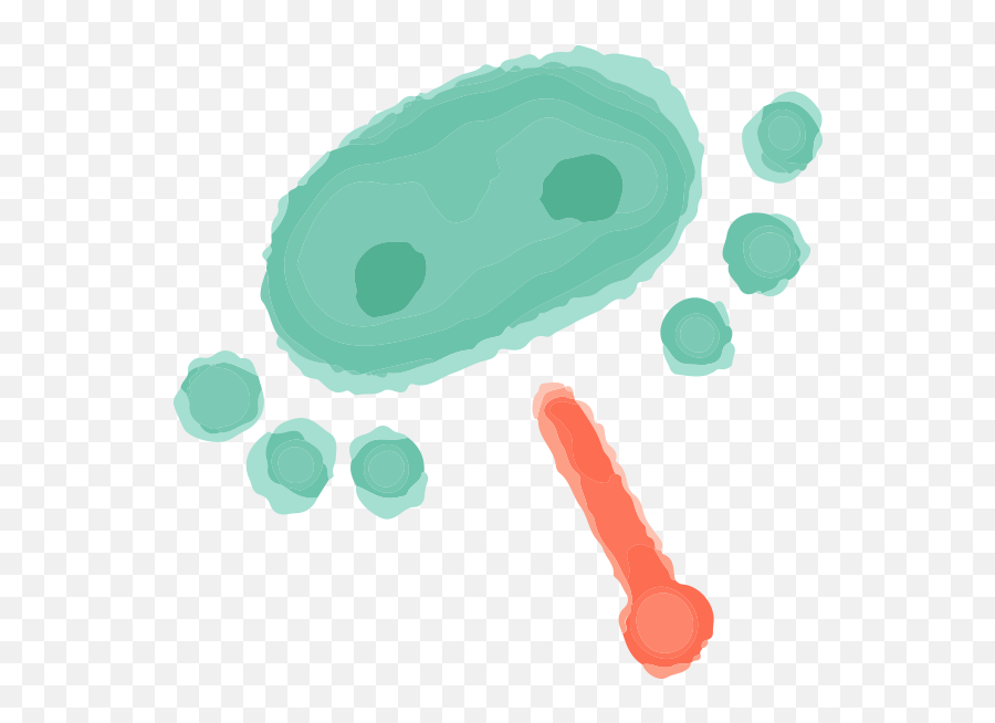 Lily Pad Nursery Preschool Png
