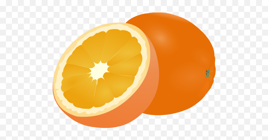 Fruit Logo Png - Dibujos De Fruta Naranja,Fruit Transparent