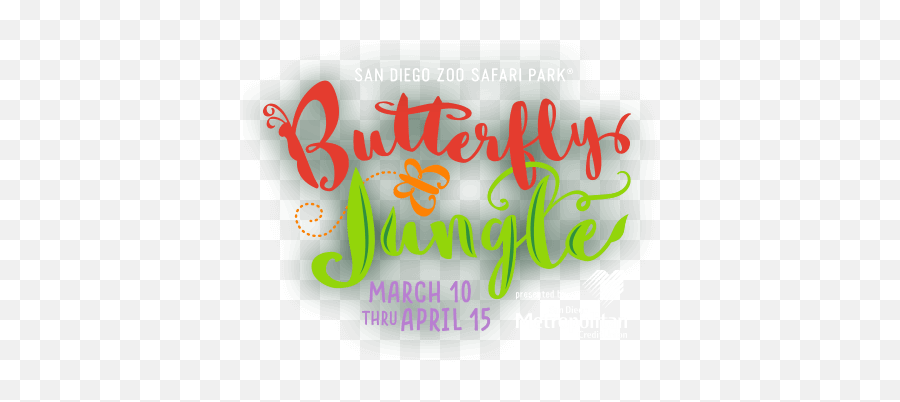 Butterfly Jungle Contest - Calligraphy Png,Butterfly Logos
