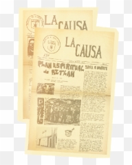 How Female Brown Berets Created Their Chicana Movement - Document png