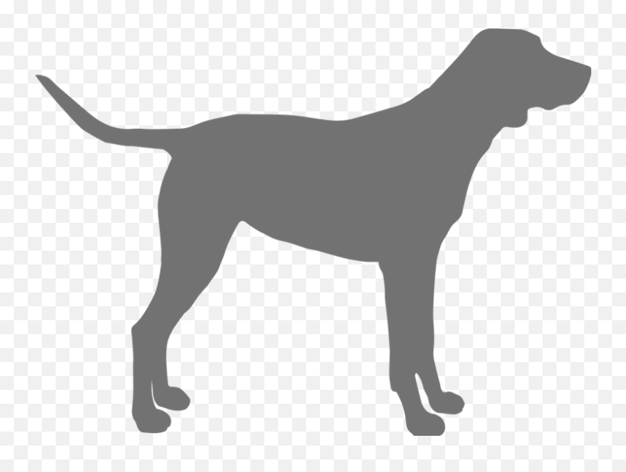 The Good Vet And Pet Guide - The Good Vet And Pet Guide Montenegrin Mountain Hound Png,Three Dog Night Icon