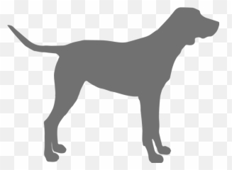 The Good Vet And Pet Guide - Montenegrin Mountain Hound png