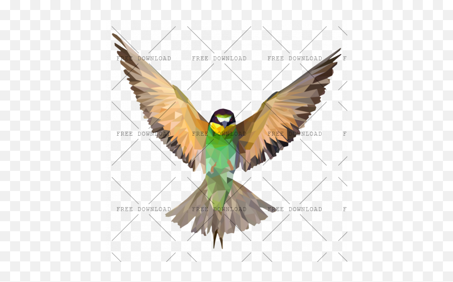 Png Image With Transparent Background - Beautiful Bird Png,Parrot Transparent Background