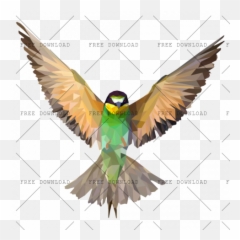 Png Image With Transparent Background - Beautiful Bird Png,Parrot Transparent Background