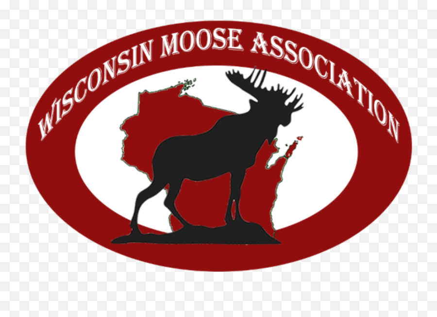 Wma Sports U0026 Activities Wisconsin Moose Association - Fat Moose Png,Wma Icon Image Png