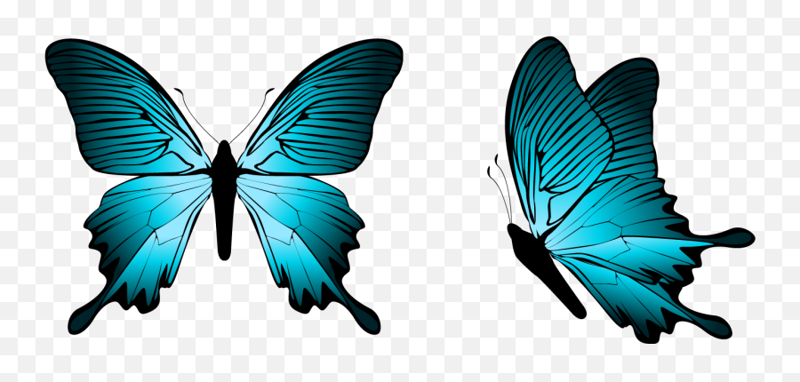 Blue Butterfly Png Clipart Image - Butterfly Png Picsart,Blue Butterfly  Transparent Background - free transparent png images 