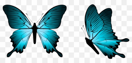 Free Transparent Teal Images Page 60 Pngaaa Com - blue butterfly free roblox accessories