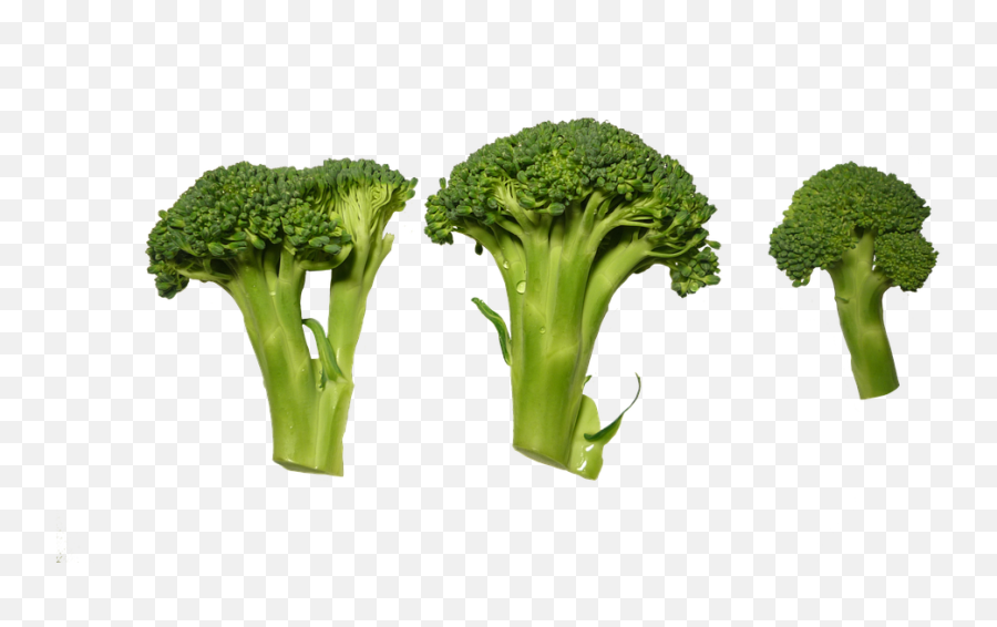 Broccoli Clippings - Free Photo On Pixabay Broccoli Cutting Png,Broccoli Transparent