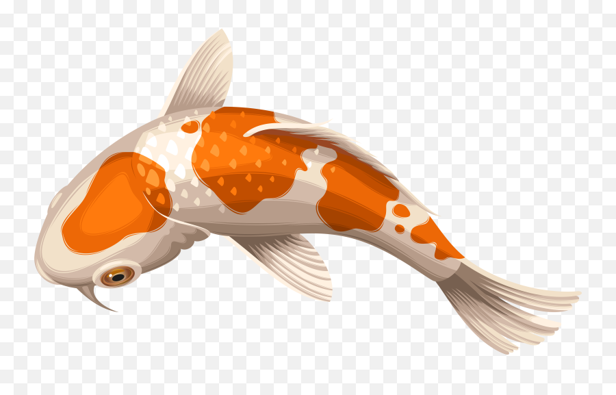 Hd Transparent Koi Fish - Koi Fish Transparent Background Png,Fish Png Transparent