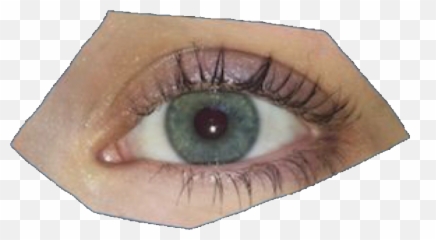 Pin Png