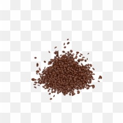 Plant Grass Clump Dry - Dry Grass Transparent Png,Dry Grass Png