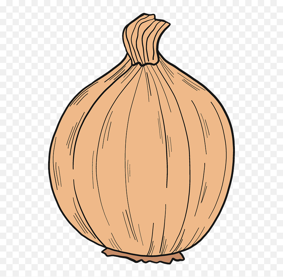 Clipart - Elephant Garlic Png,Onion Transparent Clipart - Elephant Garlic Png,Onion Transparent