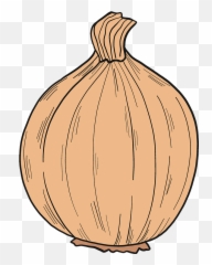 Clipart - Elephant Garlic png