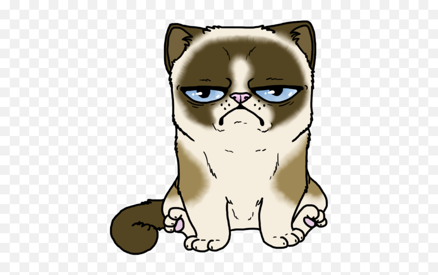 Download Hd Grumpy Cat Coloured By Fudgethedog - D5zh7u7 Transparent Grumpy Cat Christmas Png,Grumpy Png