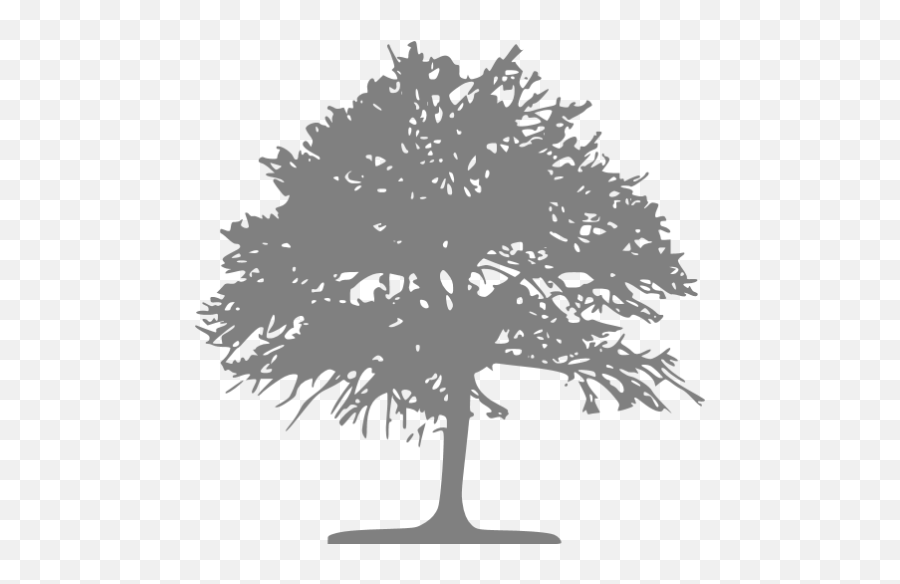 Gray Tree 46 Icon - Free Gray Tree Icons Silhouette Grey Tree Png,Tree Transparent