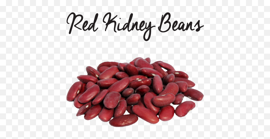 Kidney Beans Png Transparent Image Mart - Beans And Protein Content,Kidney Png